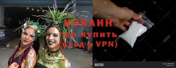 шишки Болотное