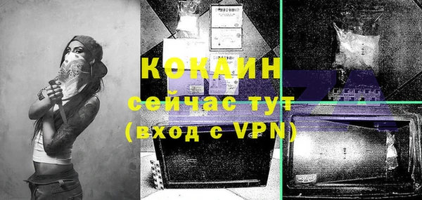 ПСИЛОЦИБИНОВЫЕ ГРИБЫ Осташков