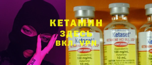 шишки Болотное